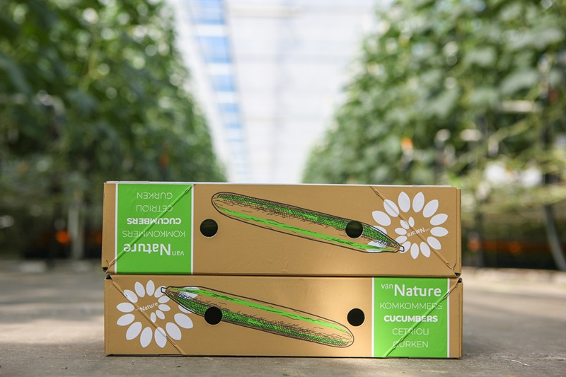 Solid board packaging - Smart Packaging Solutions